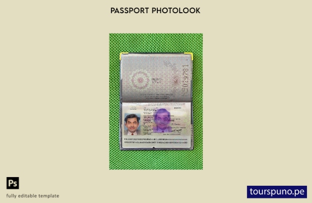 listo para imprimir la plantilla de presentación fotográfica del pasaporte de Sr